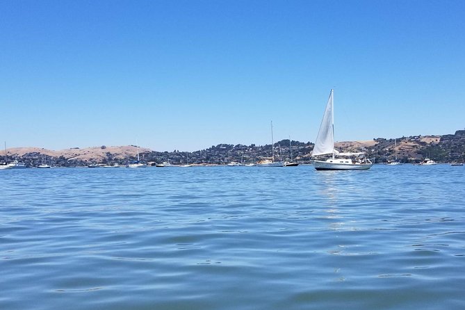 Combo Tour: Muir Woods, Sausalito and Sonoma Wine Country Tour - Sausalito: an easy bay-town hour with seafood, art, and options