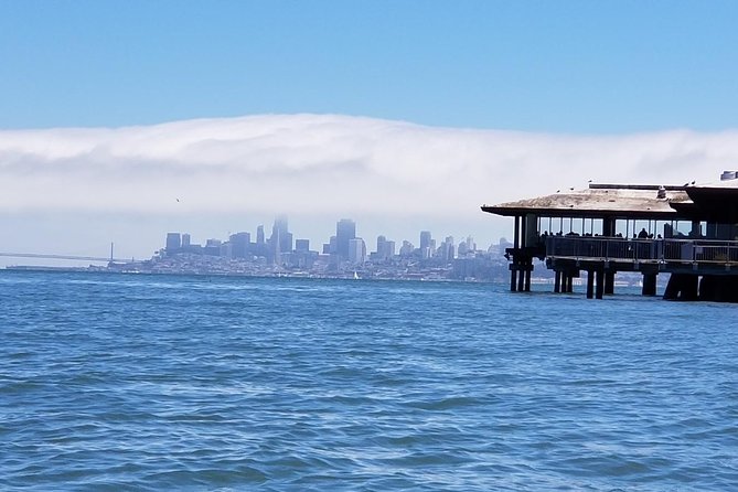 Combo Tour: Muir Woods, Sausalito and Sonoma Wine Country Tour - The Sonoma Valley transfer: Richardson Bay and San Pablo Bay in the window