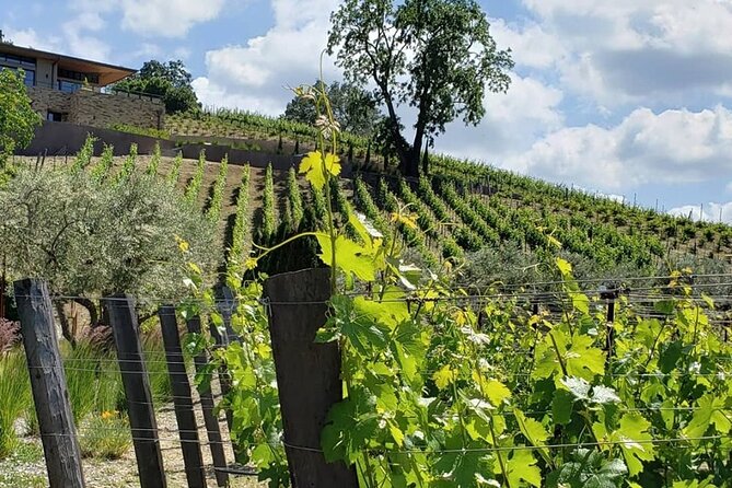 Custom 8-Hour Napa Valley Wine Tour in a Luxury Vehicle - Pickup and timing: the details that can make or break the day