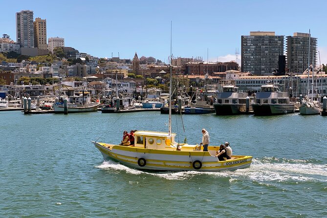 Fisherman’s Wharf Highlights Tour + Golden Gate Bay Voyage - Pier 39 and the Sea Lions Center: the best kind of distraction