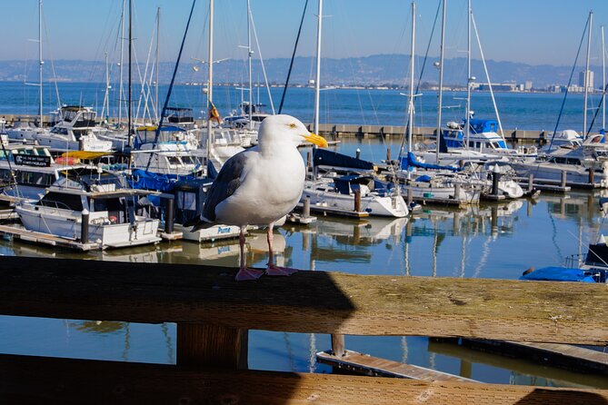 Fisherman’s Wharf & Pier 39 Food Tour - Includes Full Meal, 3 hrs - Included food: what “full meal” really means here