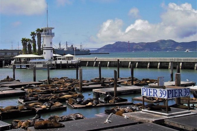 Fisherman's Wharf Walking Tour - Quick hit checklist before you go