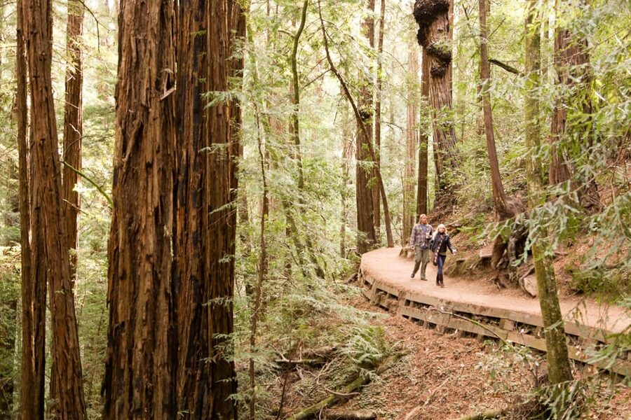 From San Francisco: Alcatraz Night & Muir Woods & Sausalito - Price and value: what you pay for in this all-in day