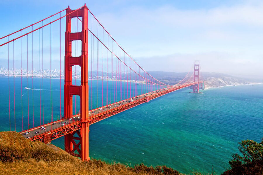From San Francisco: Alcatraz Night & Muir Woods & Sausalito - Meet at Hilton Union Square and ride north in a biofueled mini-coach