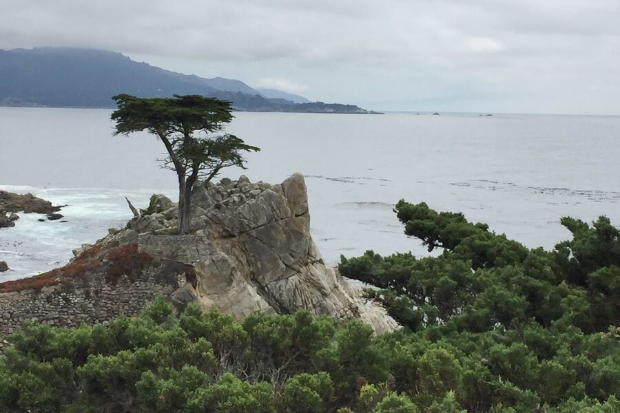 From San Francisco: Carmel, Monterey & Big Sur Private Tour - Route 1, private pickup, and why this day feels different