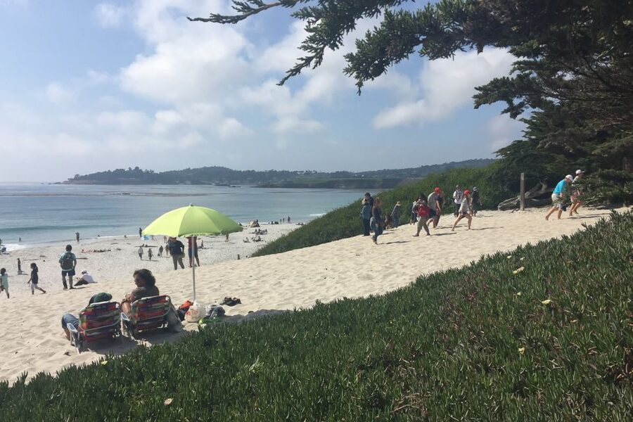 From San Francisco: Carmel, Monterey & Big Sur Private Tour - 17-Mile Drive in a private car: the scenic detour you’ll remember