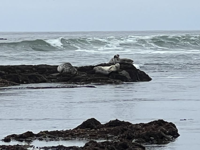 From San Francisco: Carmel, Monterey & Big Sur Private Tour - Carmel-by-the-Sea: time to slow down in a walkable town