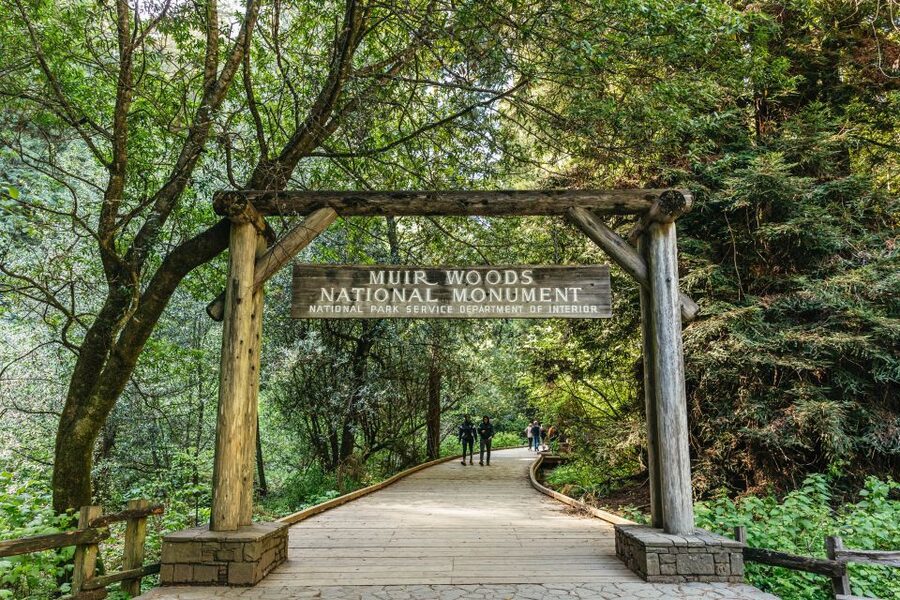 From San Francisco: Guided Muir Woods Tour - From Fisherman’s Wharf to the Redwoods, without the headache