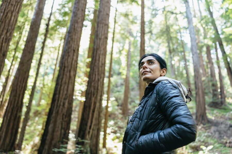 From San Francisco: Guided Muir Woods Tour - 1.5 hours at Muir Woods National Monument: the right amount of time