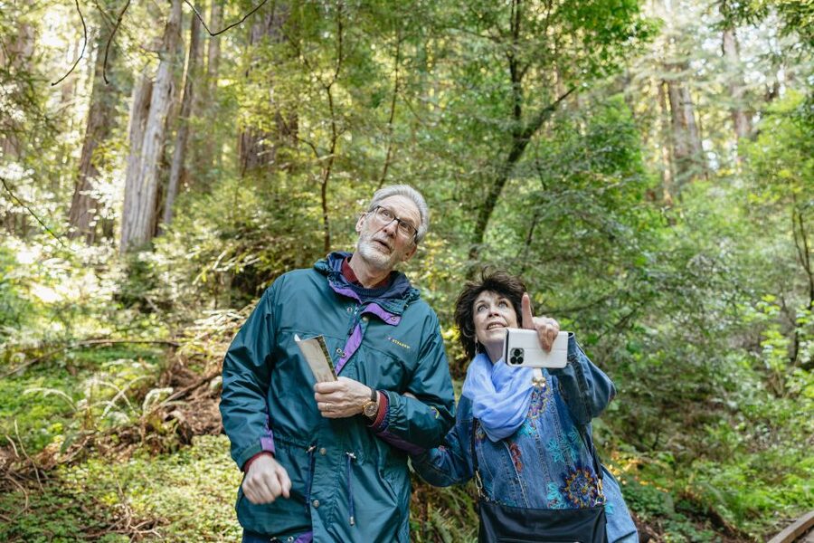 From San Francisco: Guided Muir Woods Tour - Big Bus add-ons: use them later, in your rhythm
