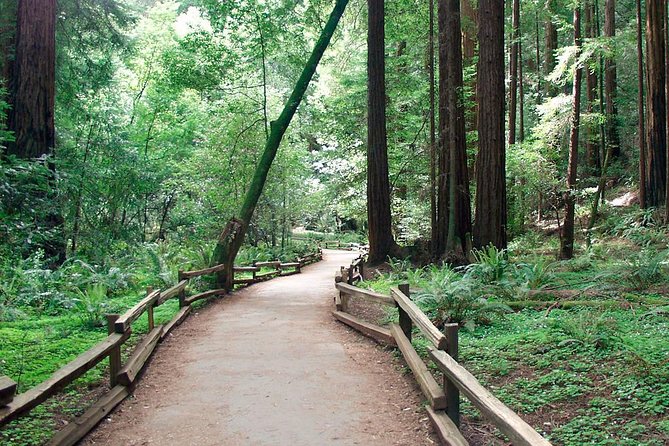 From San Francisco: Guided Tour to Muir Woods and Sausalito - Who should book this tour, and who should adjust expectations