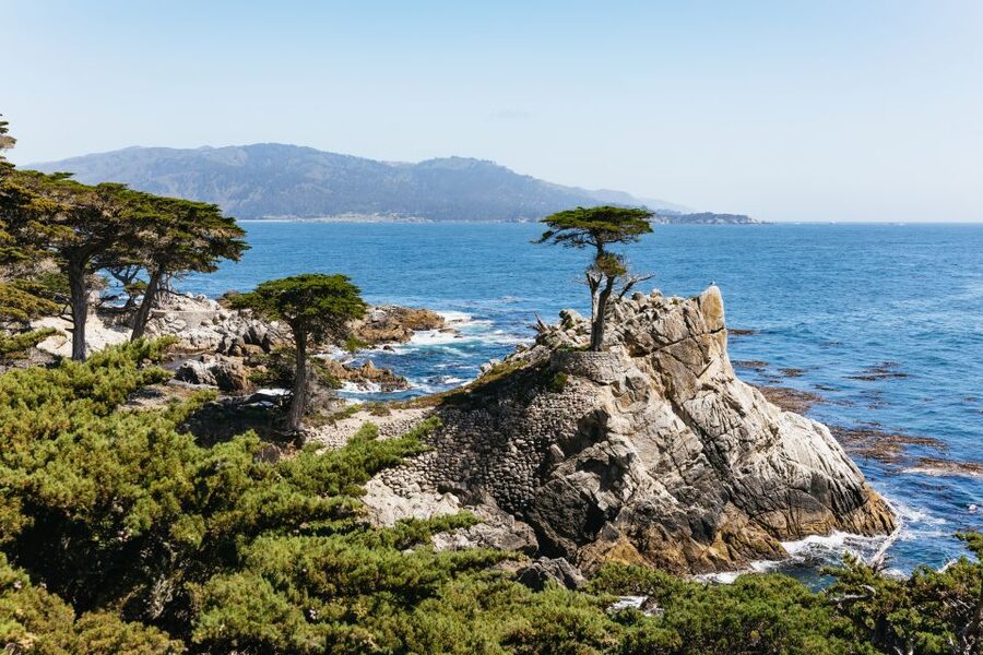 From San Francisco: Monterey and Carmel Day Tour - Key highlights worth your attention