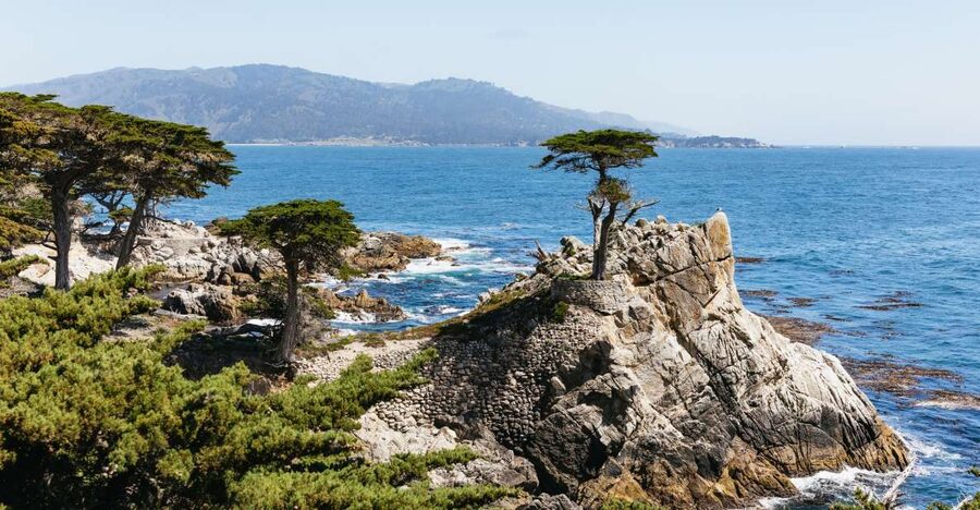 From San Francisco: Monterey and Carmel Day Tour - Highway 1 Morning: Pigeon Point Lighthouse to Davenport breaks