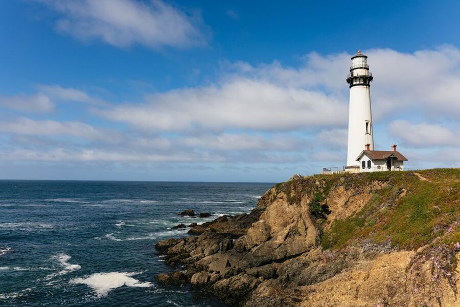From San Francisco: Monterey and Carmel Day Tour - Price and value: why $139 can make sense for this route