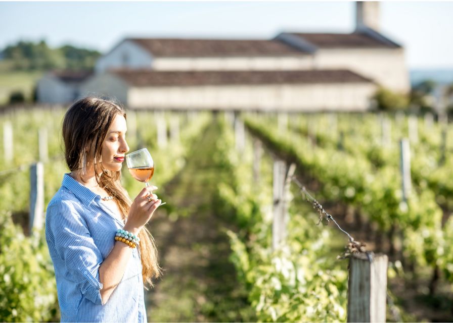 From San Francisco: Muir Woods & 3 Wineries in Napa & Sonoma - A one-day rhythm built around two icons: Redwoods and wine