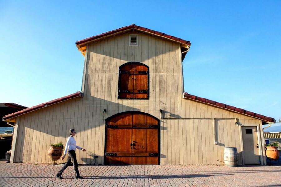 From San Francisco: Muir Woods & 3 Wineries in Napa & Sonoma - Sonoma Plaza lunch: fuel up, then get back to tastings