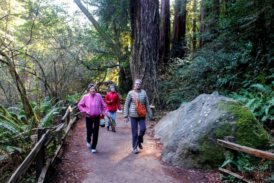 From San Francisco: Muir Woods & 3 Wineries in Napa & Sonoma - What to pack and how to pace yourself with wine
