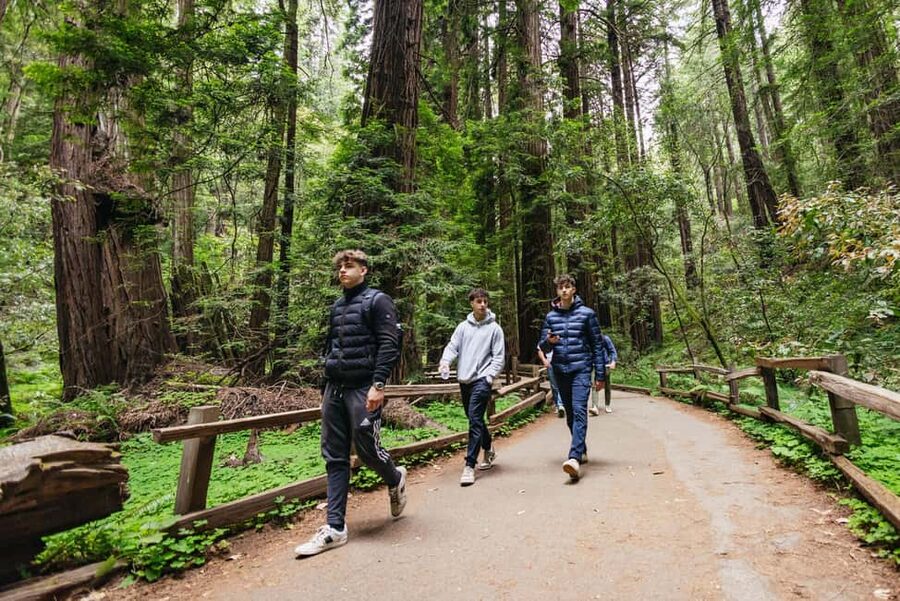 From San Francisco: Muir Woods, Sausalito and Alcatraz Tour - Timing reality: a 450-minute day that still needs layers and a plan