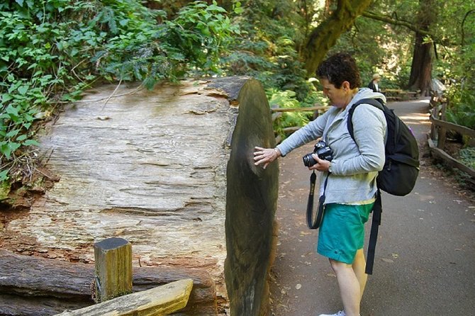 From San Francisco: Muir Woods Tour and Hop-on Hop-off City Tour - Fisherman’s Wharf to Everywhere: 24 Hours on the Hop-On Hop-Off Bus