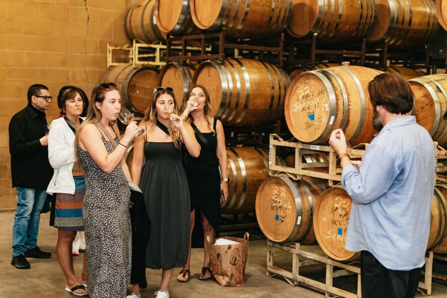 From San Francisco: Napa & Sonoma Valley Full-Day Wine Tour - Winery Stops: What You Learn at 3 Prestigious Estates