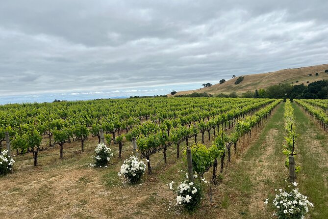 From San Francisco: Napa & Sonoma Valley Wine Tour with Tastings - Wine tasting reality check: different wineries, different matches