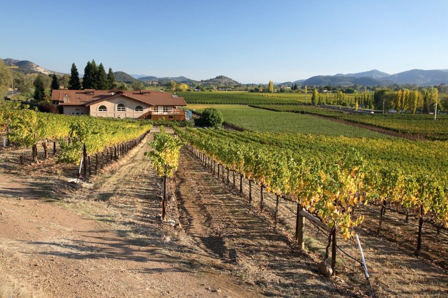 From San Francisco: Napa Valley Private Tour - Napa Valley Stop: Sightseeing Plus Tasting Decisions You Actually Control