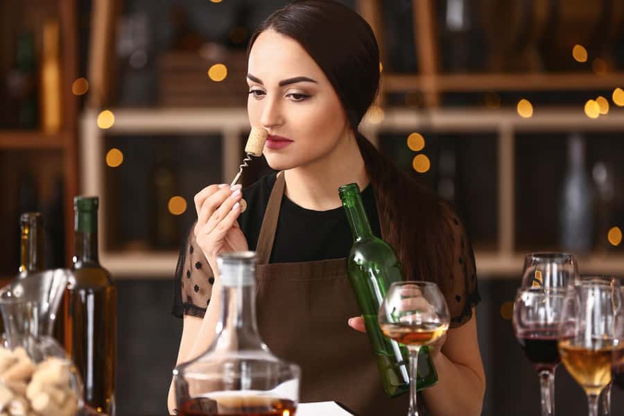 From San Francisco: Napa Valley & Sonoma Private Wine Tour - Key things to know before you go
