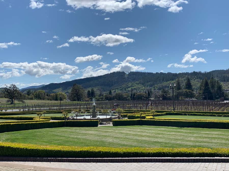 From San Francisco: Napa Valley & Sonoma Private Wine Tour - The scenic stops that make it feel like a proper California day