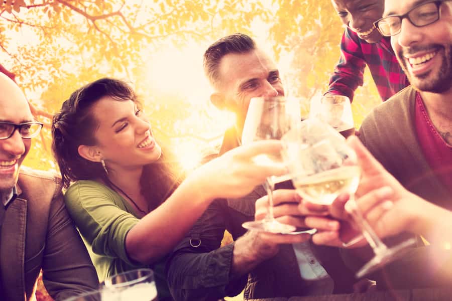 From San Francisco: Napa Valley & Sonoma Private Wine Tour - Drivers that can make or break the vibe