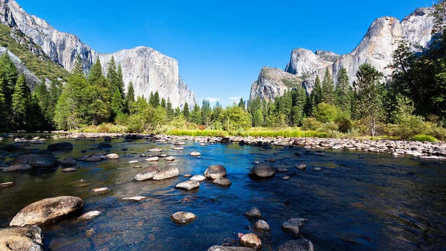 From San Francisco: Yosemite National Park Guided Day Trip - The Coach Comfort and the Practical Stuff (Restroom, Food Stops, and Timing)