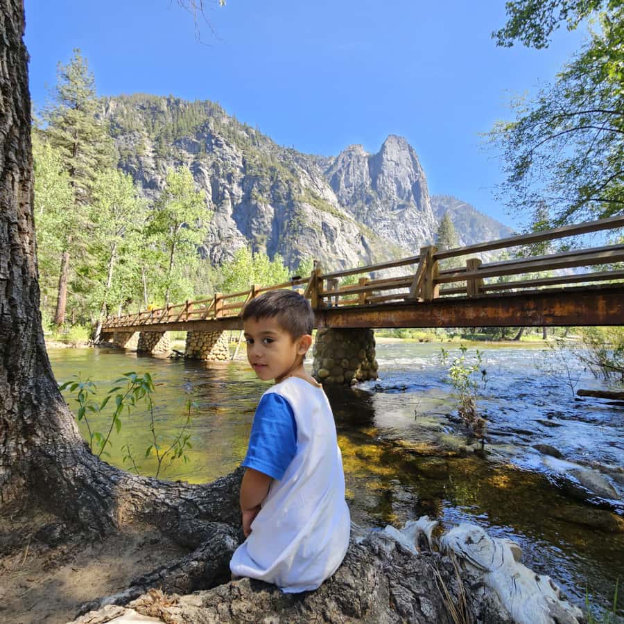 From San Francisco: Yosemite National Park Guided Day Trip - Yosemite in Two Acts: 1-Hour Guided Tour Plus 3 Hours on Your Own