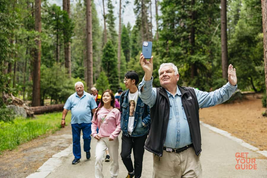 From San Francisco: Yosemite National Park Guided Day Trip - Price and Value: What $197 Gets You, and What It Does Not