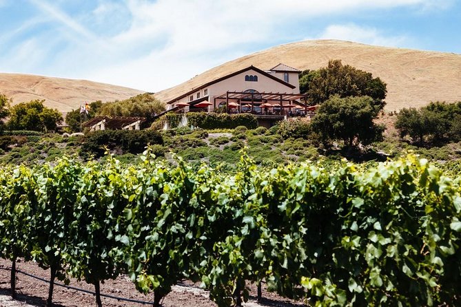 From SF:Sonoma & Napa -8hr Private Wine Tour with Concierge.XLSUV - The big idea: private Napa and Sonoma without the driving math
