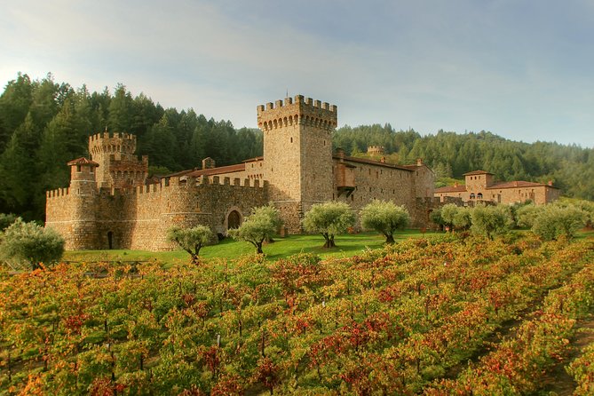 From SF:Sonoma & Napa -8hr Private Wine Tour with Concierge.XLSUV - The driver role: why this tour feels smooth when you hit the right one