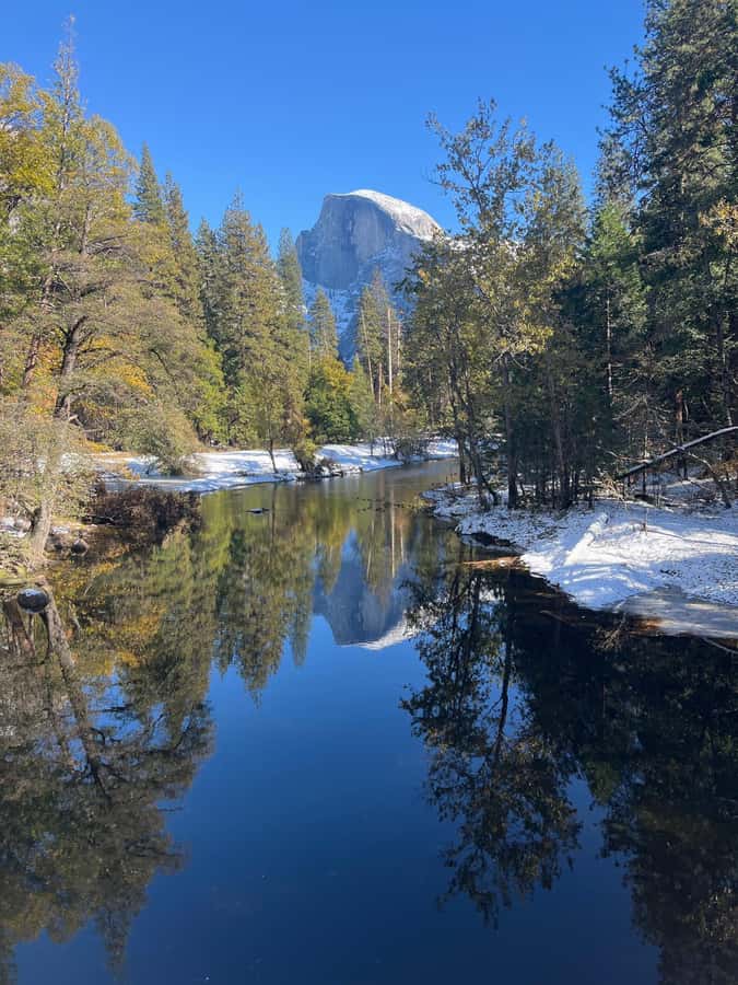 From SF: Yosemite Day Trip with Giant Sequoias Hike & Pickup - Picnic time near Yosemite Falls, plus real seasonal wildlife clues