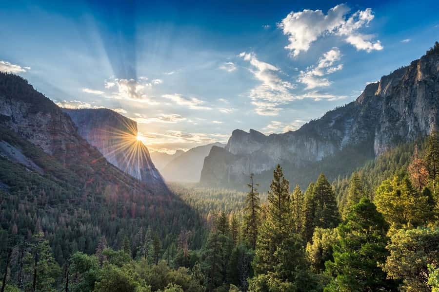 From SF: Yosemite Day Trip with Giant Sequoias Hike & Pickup - What the guided stops really do for you (not just the views)