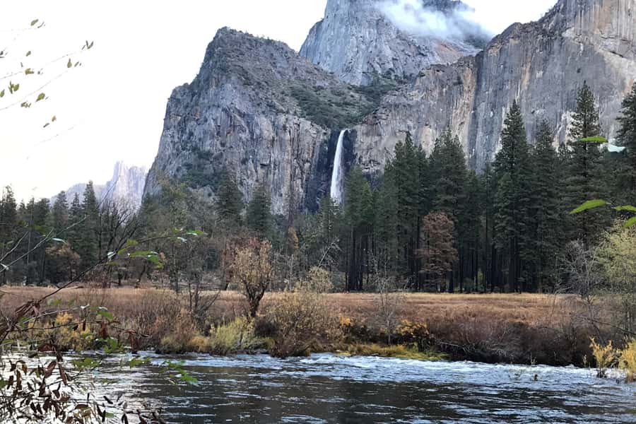 From SF: Yosemite Day Trip with Giant Sequoias Hike & Pickup - Price and value, is $239 a fair deal?