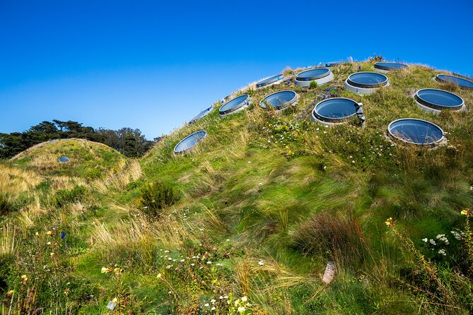 Golden Gate Park Tour With California Academy of Sciences Ticket - de Young Museum Area and Hamon Observation Tower Views