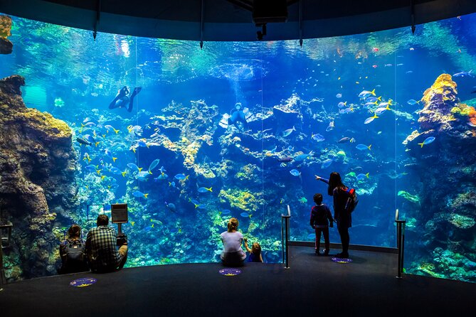Golden Gate Park Tour With California Academy of Sciences Ticket - VIP Academy Tour Upgrade: Private Gem Vault, Living Roof Access, and More