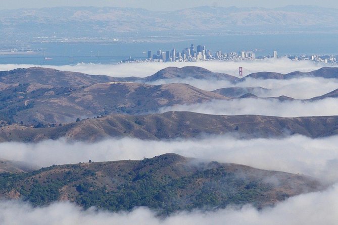 Greater Bay Area Seaplane Tour - The seaplane experience itself: window time, headset chatter, and tiny-boat energy