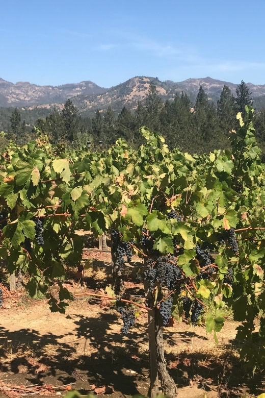 Guided Private Wine Tour to Napa and Sonoma Wine Country - Who should book this Napa and Sonoma private tour?