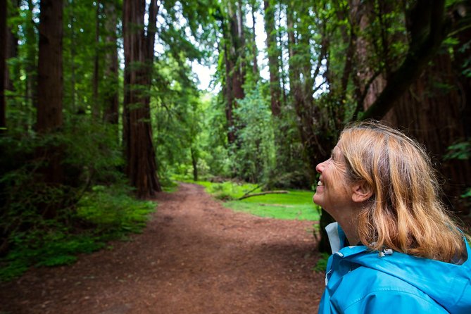 Half-Day Muir Woods & Sausalito Tour with Entry Ticket Included - Price and Value: What the $99 Fee Really Covers