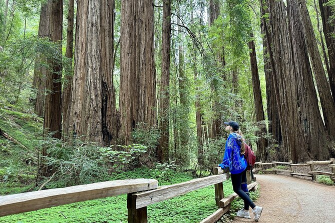 Half-Day Muir Woods & Sausalito Tour with Entry Ticket Included - Sausalito Waterfront Stop: Seafood, Shops, and Bay Views in One Hour