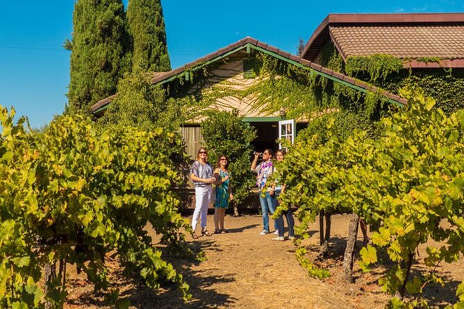 Half-Day Wine Tour Plus Hop-On Hop-Off Bus Pass - What to pack for a smooth day