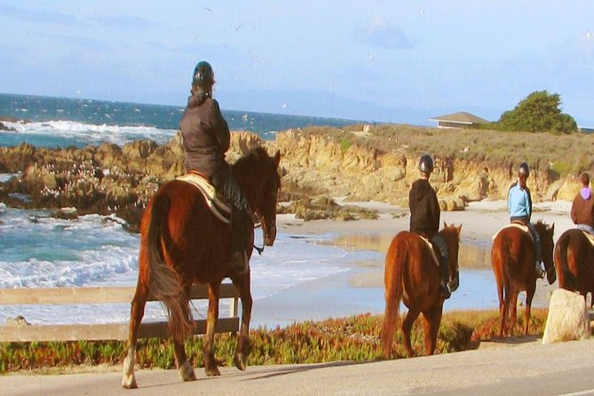 Horseback Ride & Alcatraz Prison Tickets - How this 5-hour combo tour actually runs