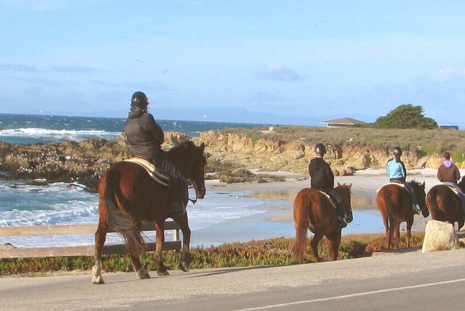 Horseback Ride & Alcatraz Prison Tickets - Alcatraz logistics without the hassle: ferry tickets you actually need