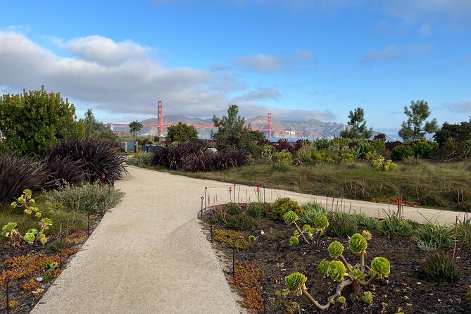 Iconic San Francisco Urban Hiking Tour - Key Highlights You Will Actually Feel on This Walk
