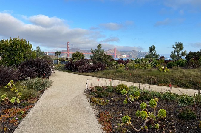 Iconic San Francisco Urban Hiking Tour - Palace of Fine Arts: Promenade Time That Actually Lets You Look