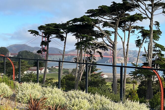 Iconic San Francisco Urban Hiking Tour - Yoda Fountain to Tunnel Tops Park: A Funny Pause Before Big Views