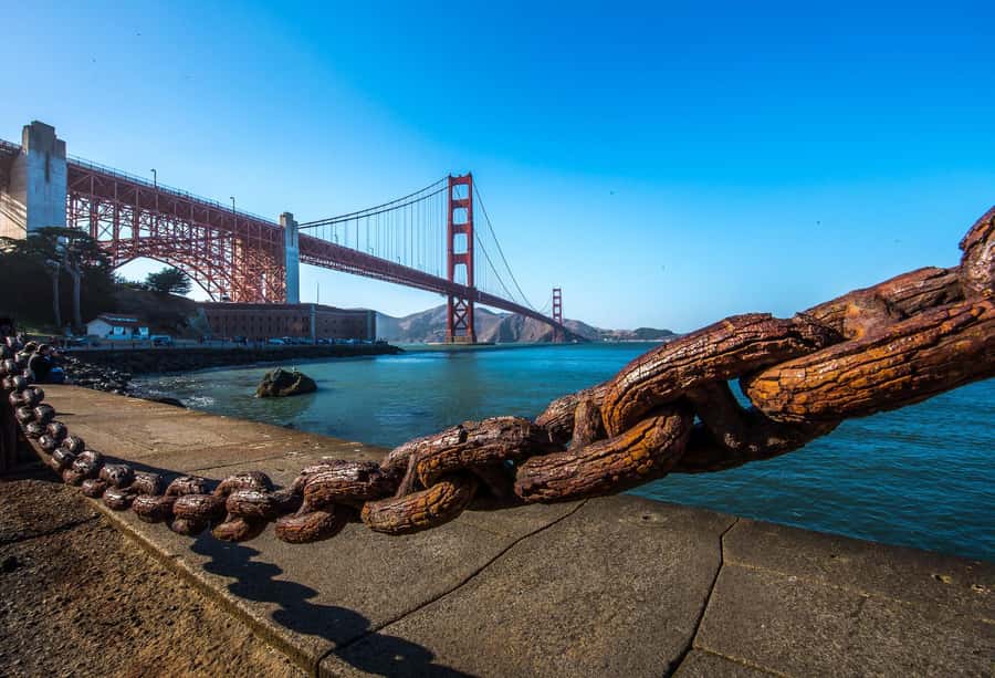 Lombard Leap: Lombard Street, Coit Tower and Chinatown Tour - Down Lombard Street, the real reason people come